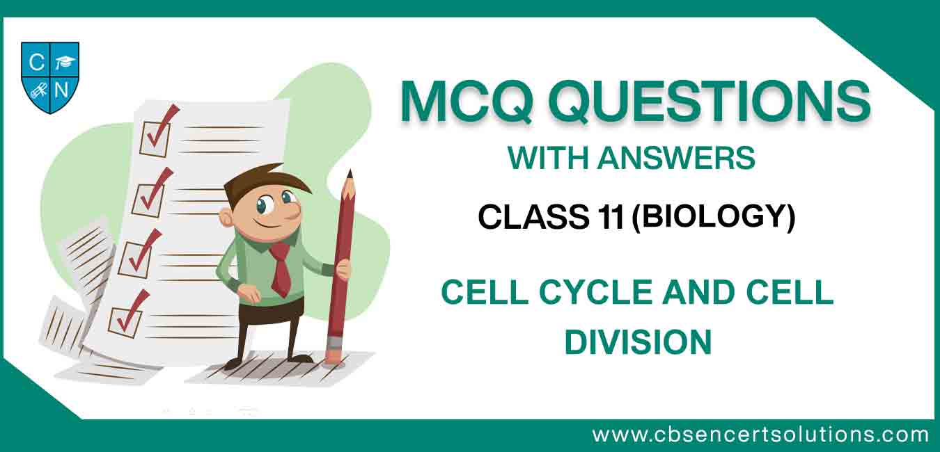 Cell Cycle And Cell Division MCQ Question Class 11 Free PDF