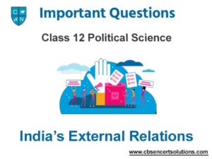 Case Study Chapter 4 Indias External Relations