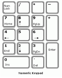 Class 7 Computer Typing Tutor Notes and Questions