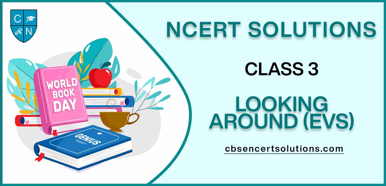 NCERT Solutions class 3 Looking Around (EVS)