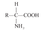 Biomolecules