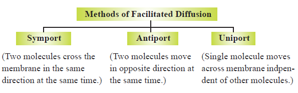 Transport in Plants