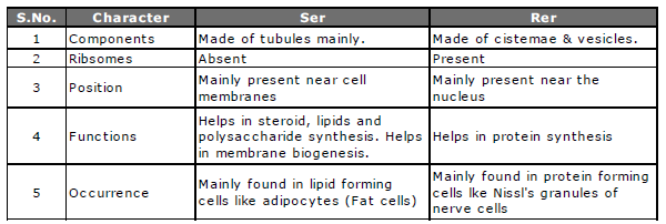 Chapter 15 Cellular Level of Organisation