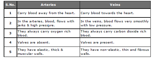 Class 10 Social Science Chapter 2 Forest and Wildlife Resources