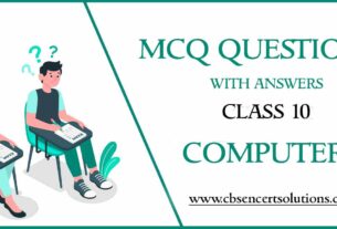 MCQ Questions for Class 10 Computers with Answers