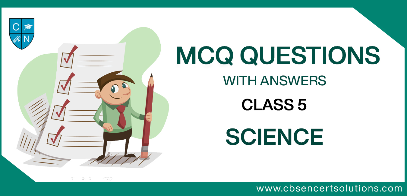 case study questions science class 5