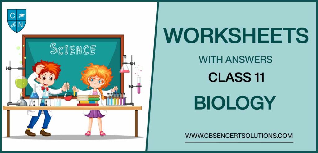 Class 11 Biology Worksheets