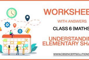Class 6 Mathematics Understanding Elementary Shapes Worksheets