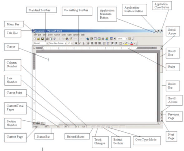 Microsoft Office Class 7 Computer Science