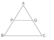 MCQ Questions For Class 10 Triangles 