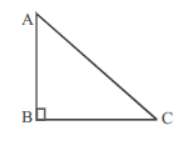 MCQ Questions For Class 10 Triangles