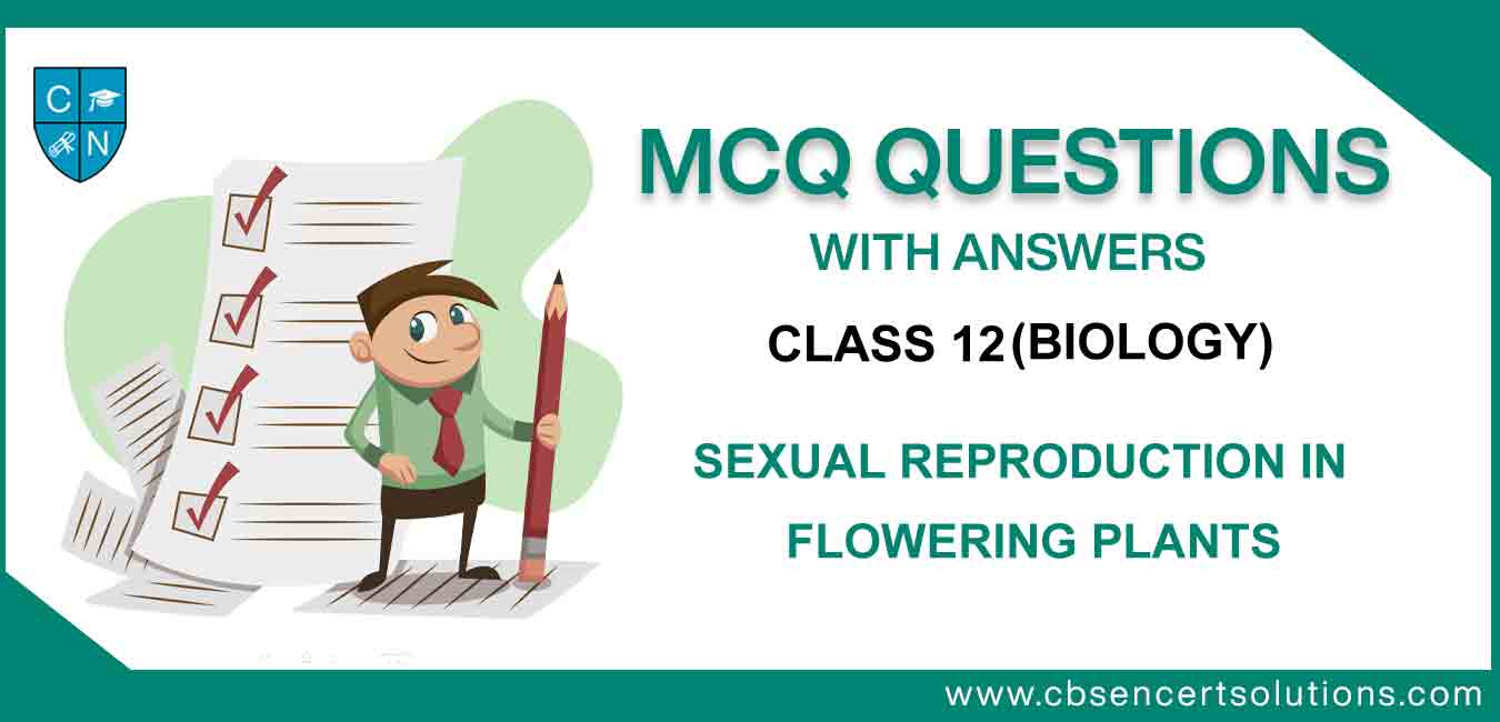 Mcq Class 12 Biology Chapter 2 Sexual Reproduction In Flowering Plants 3377