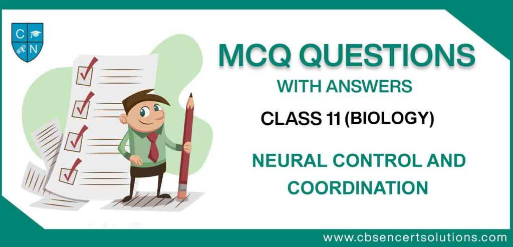 MCQ-Question-for-Class-11-Biology-Chapter-21-Neural-Control-and-Coordination.jpg
