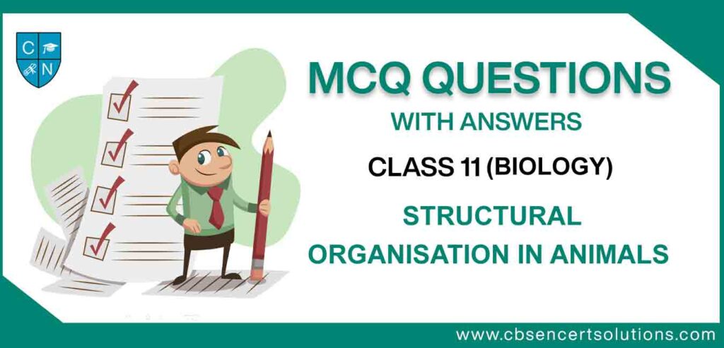MCQ-Question-for-Class-11-Biology-Chapter-7-Structural-Organisation-in-Animals.jpg