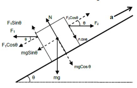 Laws of Motion Class 11 Physics Notes And Questions