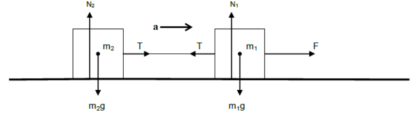 Laws of Motion Class 11 Physics Notes And Questions