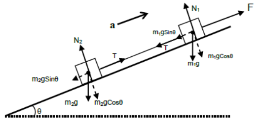 Laws of Motion Class 11 Physics Notes And Questions