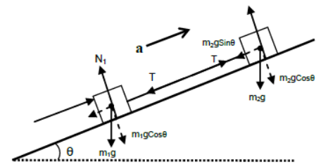 Laws of Motion Class 11 Physics Notes And Questions