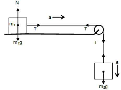 Laws of Motion Class 11 Physics Notes And Questions