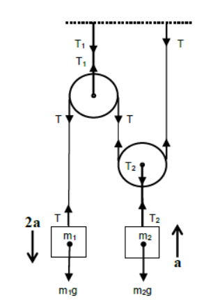 Laws of Motion Class 11 Physics Notes And Questions