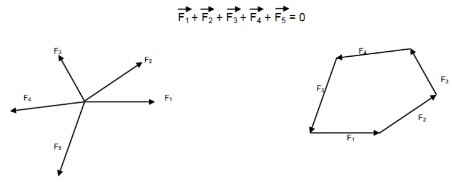 Laws of Motion Class 11 Physics Notes And Questions