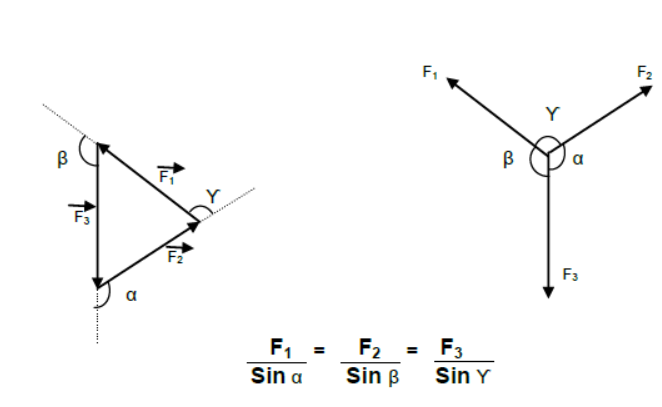 Laws of Motion Class 11 Physics Notes And Questions