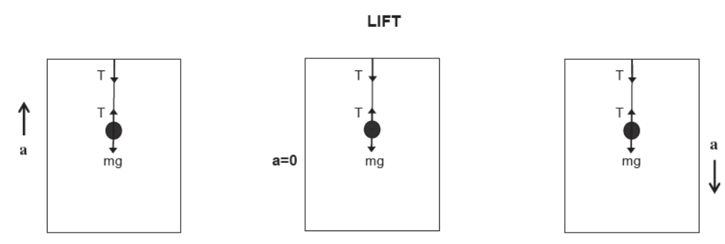 Laws of Motion Class 11 Physics Notes And Questions