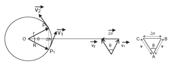 Laws of Motion Class 11 Physics Notes And Questions