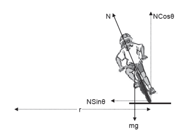 Laws of Motion Class 11 Physics Notes And Questions