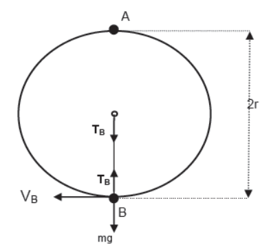 Laws of Motion Class 11 Physics Notes And Questions