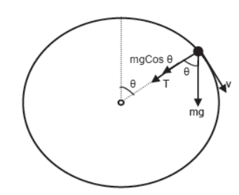 Laws of Motion Class 11 Physics Notes And Questions