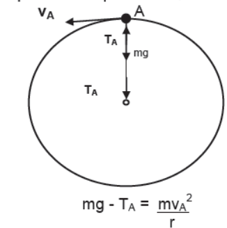 Laws of Motion Class 11 Physics Notes And Questions