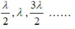 Waves Class 11 Physics Notes And Questions