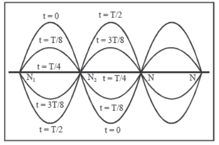 Waves Class 11 Physics Notes And Questions