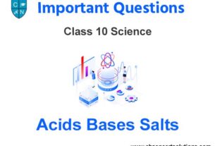 Case Study Chapter 2 Acids Bases Salts