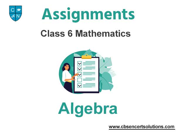 Class 6 Mathematics Algebra Assignments