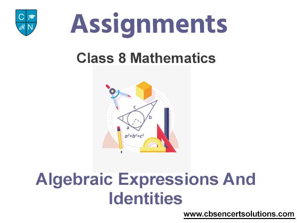 Class 8 Mathematics Algebraic Expressions And Identities Assignments