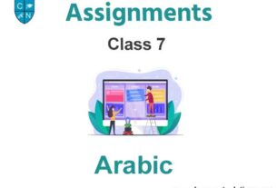 Class 7 Arabic Assignments