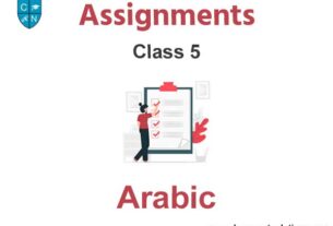 Class 5 Arabic Assignments