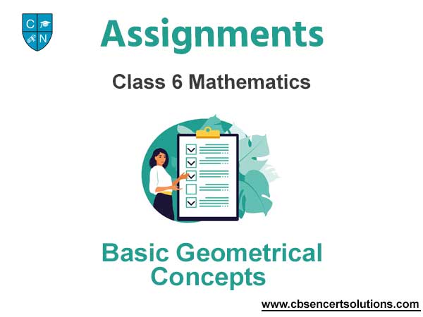 Class 6 Mathematics Basic Geometrical Concepts Assignments