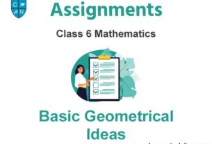 Class 6 Mathematics Basic Geometrical Ideas Assignments