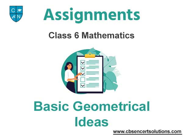 Class 6 Mathematics Basic Geometrical Ideas Assignments