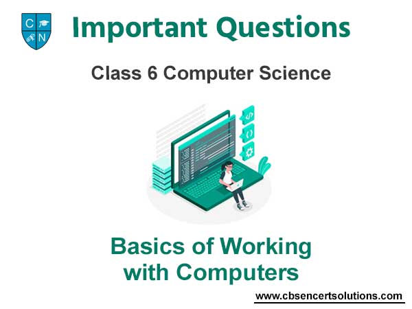 Basics of Working with Computers Class 6 Computer Science Important Questions