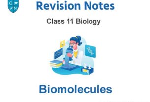 Biomolecules Class 11 Biology