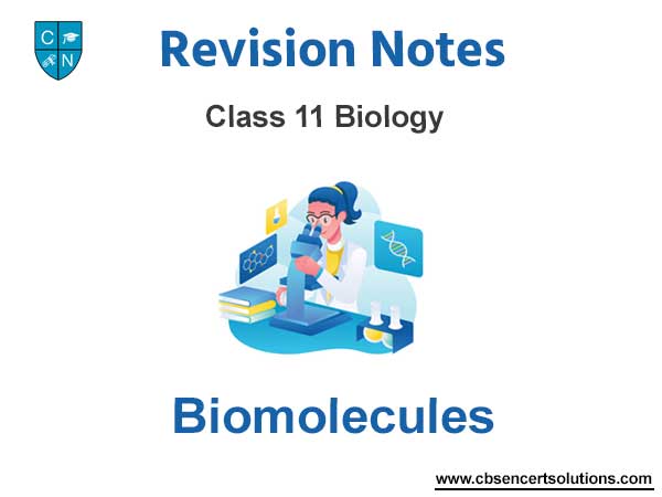 Biomolecules Class 11 Biology