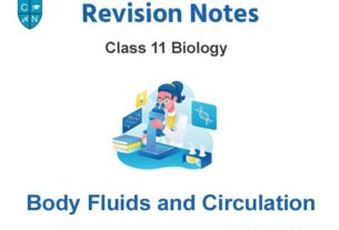 Body Fluids and Circulation Class 11 Biology