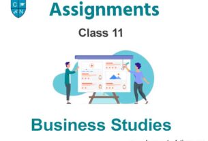 Class 11 Business Studies Assignments