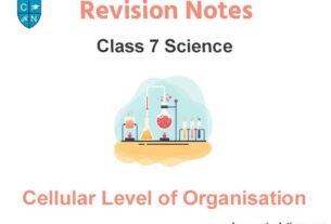Cellular Level of Organisation Class 7 Science