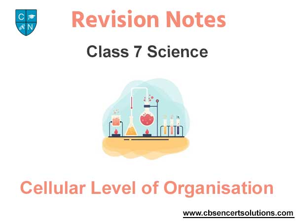 Cellular Level of Organisation Class 7 Science