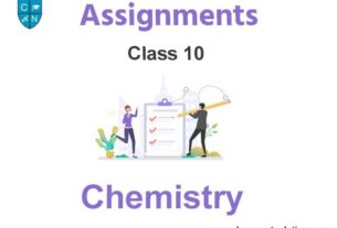Class 10 Chemistry Assignments